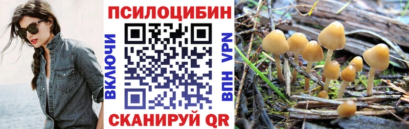 Галлюциногенные грибы прущие грибы  Жуков 